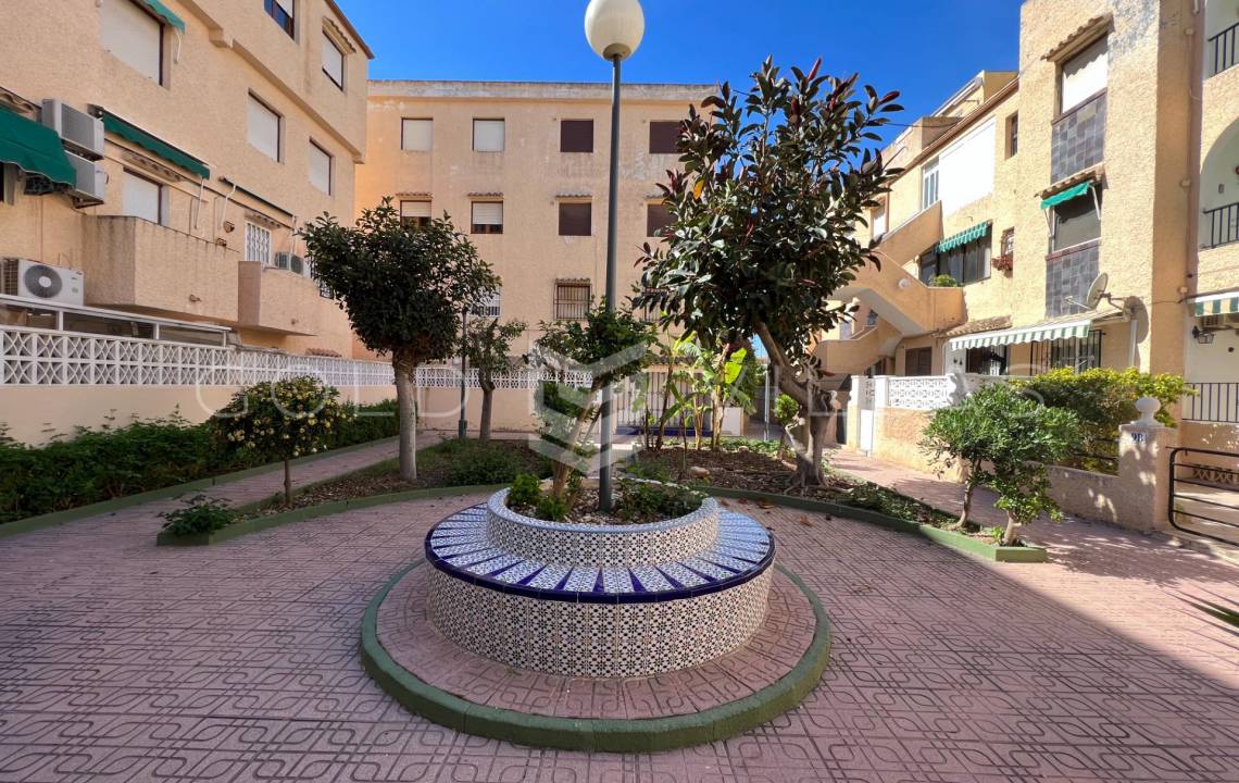 Vente - Appartement de ville - La Mata - Torrevieja